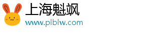 上海魁颯